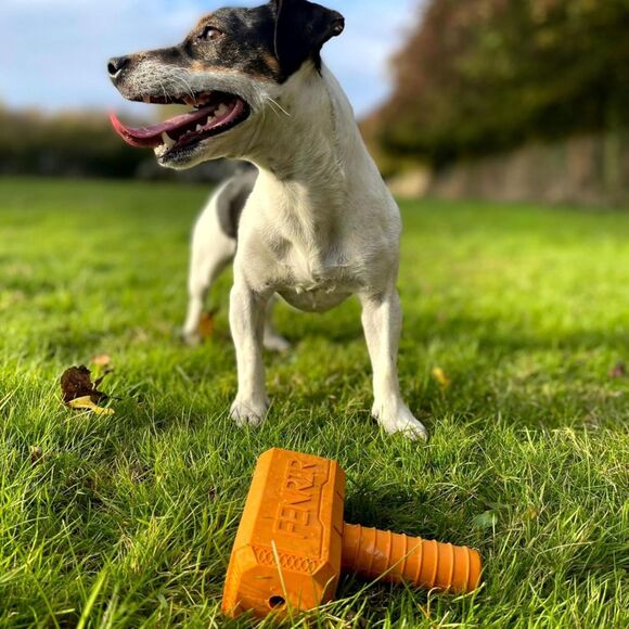 Fenrir Dog Chew Toy Hammer Chew Toy Medium Orange - Picture 7 of 7